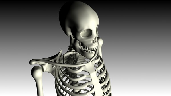 maya human skeleton - Skeleton (top) by philbert2286